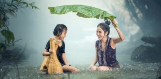 Jak nazywa się dziecko byka?