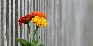 Jak podwyższyć ogrodzenie z siatki?