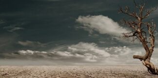 Jak działa suchy skafander?