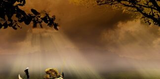 Co dla fana Wędkarstwa?