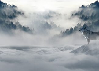 Jakie skarpety na zimę?