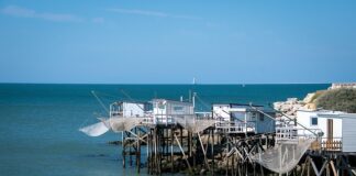 Jaki silnik do pontonu Excursion 5?