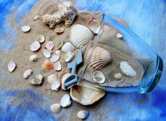 Ile razy w tygodniu zajęcia fitness?