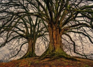 Kiedy jest podwójne odbicie w siatkówce?