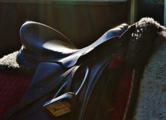 Jak osiodłać konia krok po kroku?