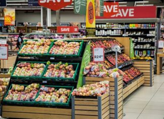 Na co zwrócić uwagę przy zakupie łodzi motorowej?