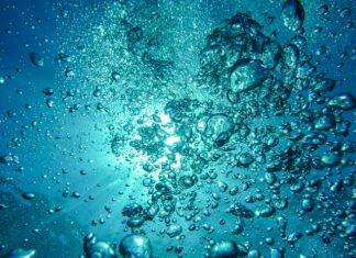 Jaki kombinezon do nurkowania?