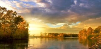 Co to jest wolne koło w rowerze?