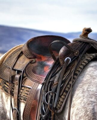 Jak się zakłada Siodlo?