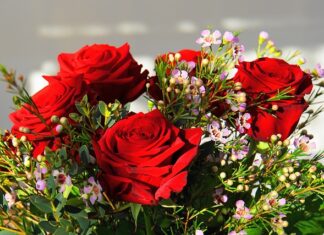 Jaki jest najdroższy rower na świecie?