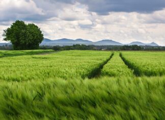 Jak zmierzyć rozstaw kości do siodełka?