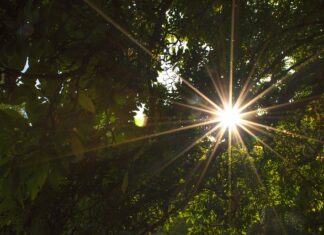 Czemu nie widać efektów na siłowni?