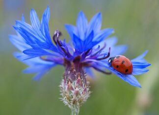 Ile punktów to set?