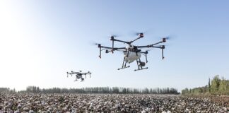 Ile procent bawełny w skarpetkach?