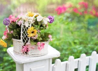 Co można dać na siatkę ogrodzeniową?