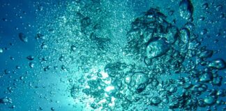 Ile kosztuje kompletny strój do nurkowania?