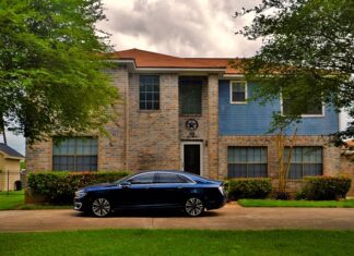 Ile waży litr Ludwika?