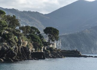 Ile kosztuje ser podpuszczkowy?