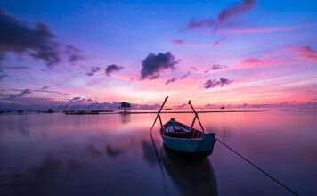 Jaki kolor odstrasza ptaki?