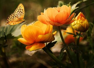 Ile płynu do mycia naczyń?