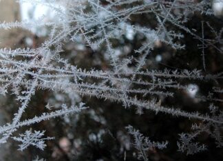 Po co mrozić płyn do naczyń?