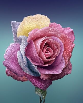 Jak przyrządzić płatki owsiane na śniadanie?