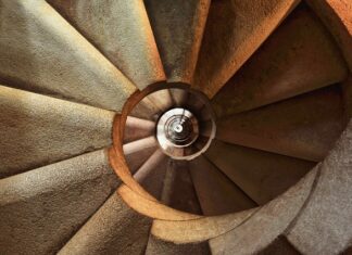 Co na dno klatki dla kanarka?