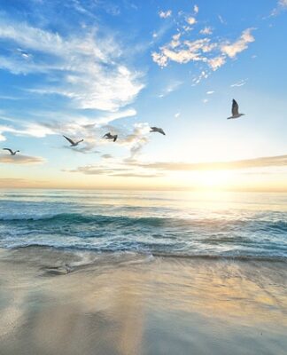 Jak przyciągnąć ptaki do budki lęgowej?