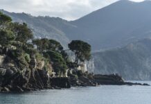 Ile kosztuje tort na 25 osób?