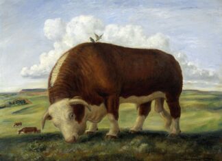 Czy Ajax jest szkodliwy?